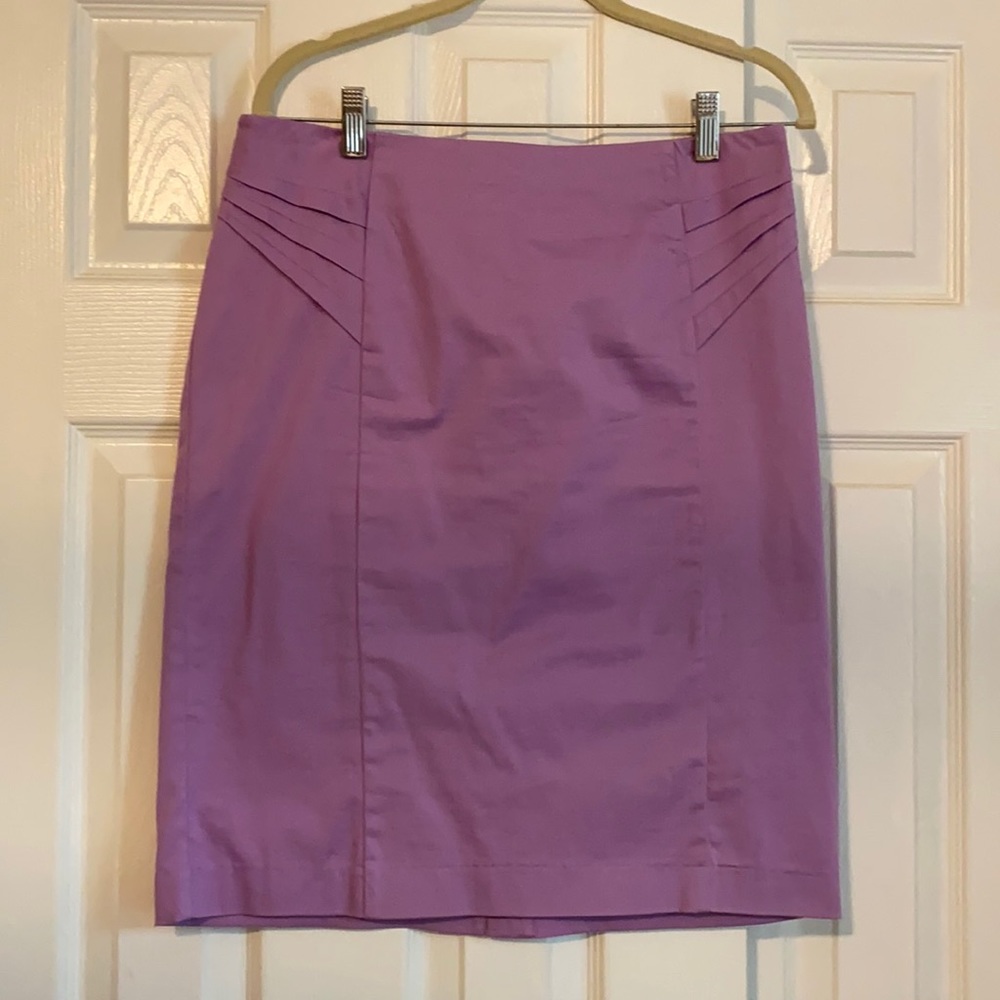 New York & Co Skirt